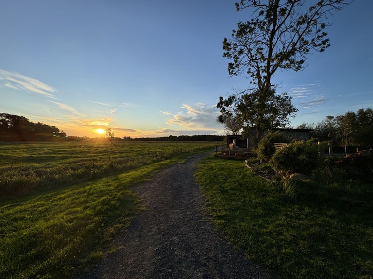Rehaplatz direkt an der Nordsee