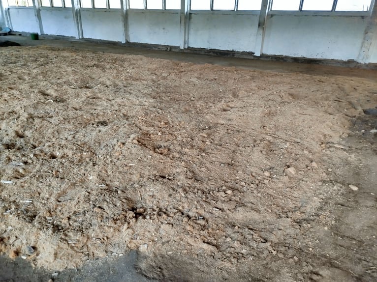 Reitanlage/Stalltrakt /Offenstallplätze zur Pacht