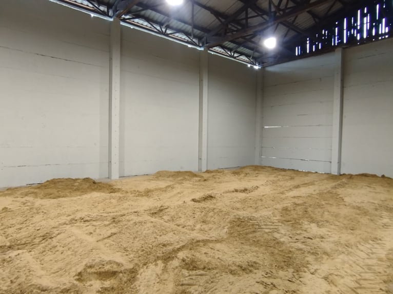 Reitanlage/Stalltrakt /Offenstallplätze zur Pacht