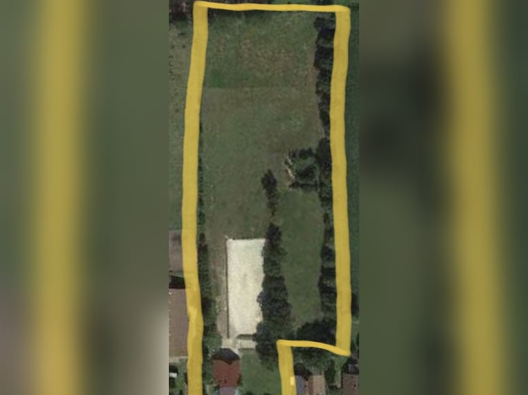 Rentner Kumpel für Friesenwallach gesucht