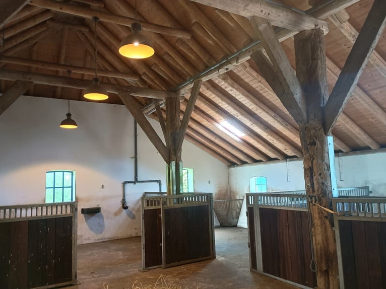 Rund- um- sorglos und all inclusive Stellplatz! RENTNERPLATZ, Frührentner, Aufbau