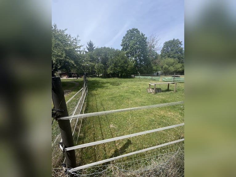 Selbstversorger Offenstall für Ponys
