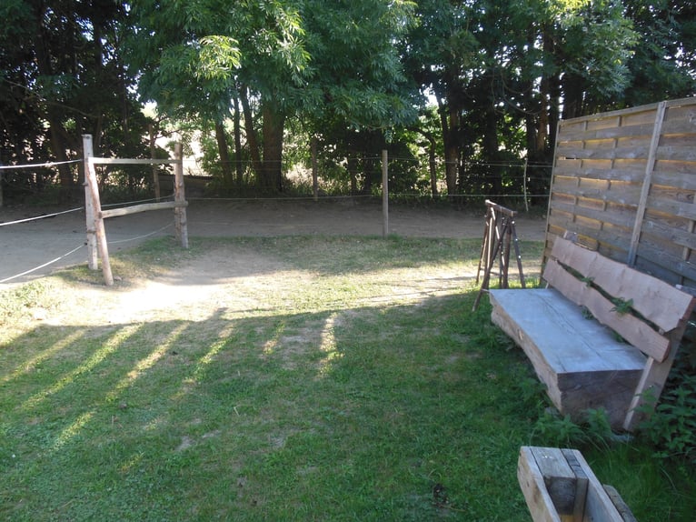 Stallplatz,Offenstall