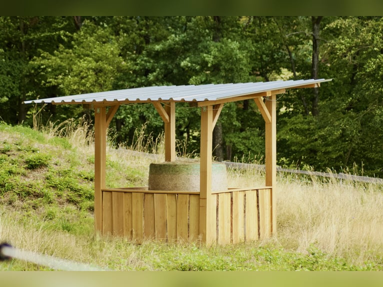 Suche 1-2 Einsteller für Offenstall im vorderen Odenwald