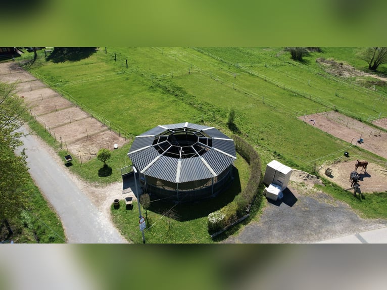 Verpflegung nicht reitbarer Pferde/Ponys + Rentnerversorgung