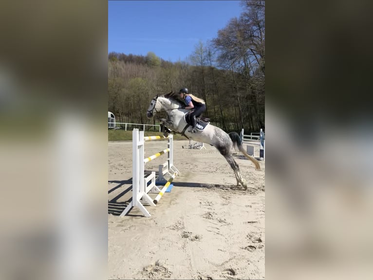 Verpflegung nicht reitbarer Pferde/Ponys + Rentnerversorgung