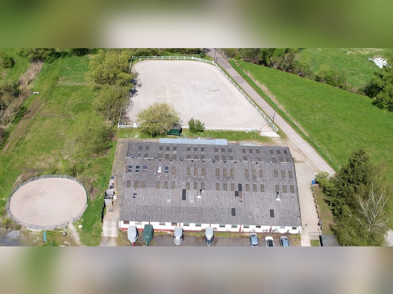 Verpflegung nicht reitbarer Pferde/Ponys + Rentnerversorgung