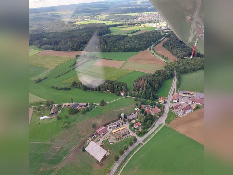 1 Paddockstall mit Auslauf-Weide für 1-2 Pferde