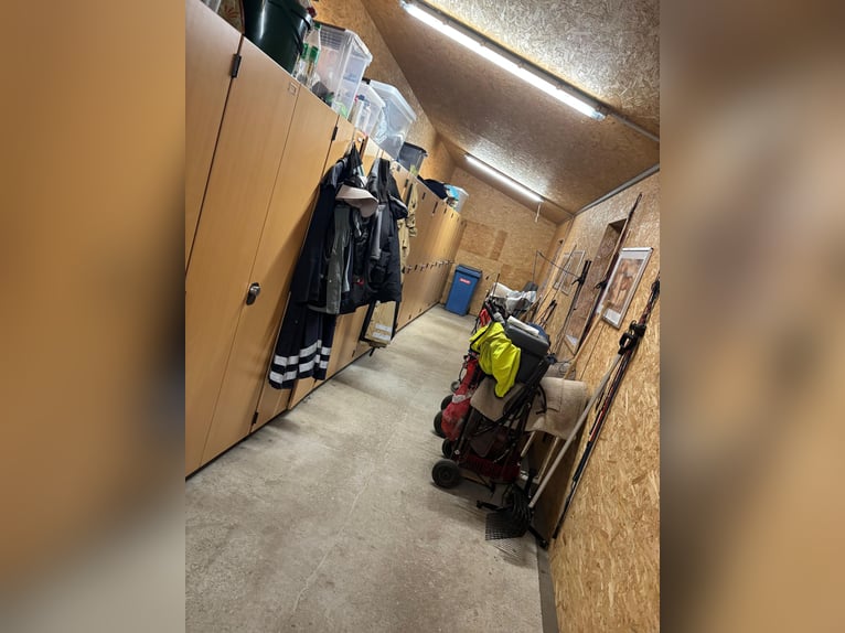 2 Paddockboxen für Stuten frei 