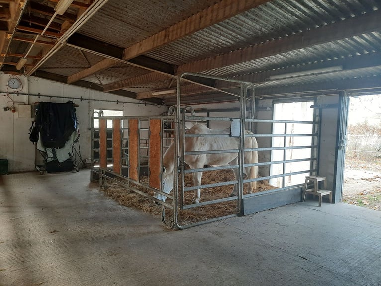 4 Paddockboxen frei Nähe Göttingen/Hann. Münden/Witzenhausen