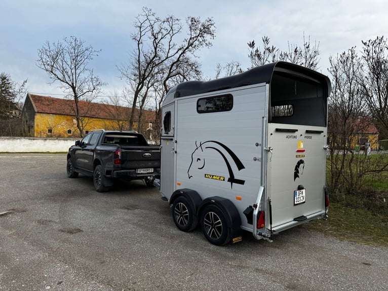 Einstellplätze am Islandpferdehof Reitzentrum Gut Sachsengang bei Wien