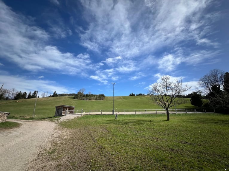 Einstellplatz in wunderschöner Lage