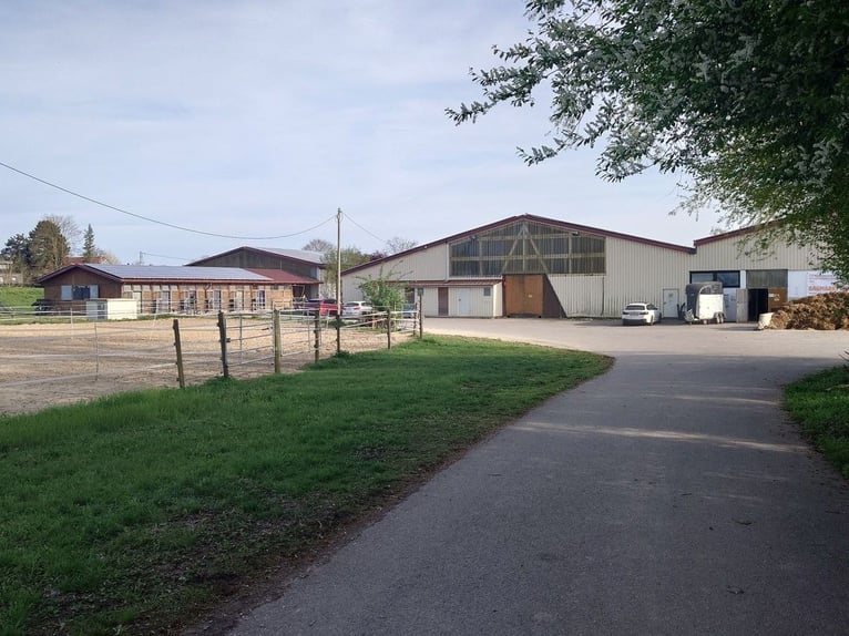 Freie Boxen  in Neu-Ulm Ludwigsfeld