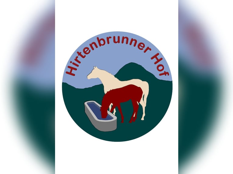 Frische Luft, ruhige Lage, offene Reithalle und Top-Ausreitgelände. Nette Stallgemeinschaft!