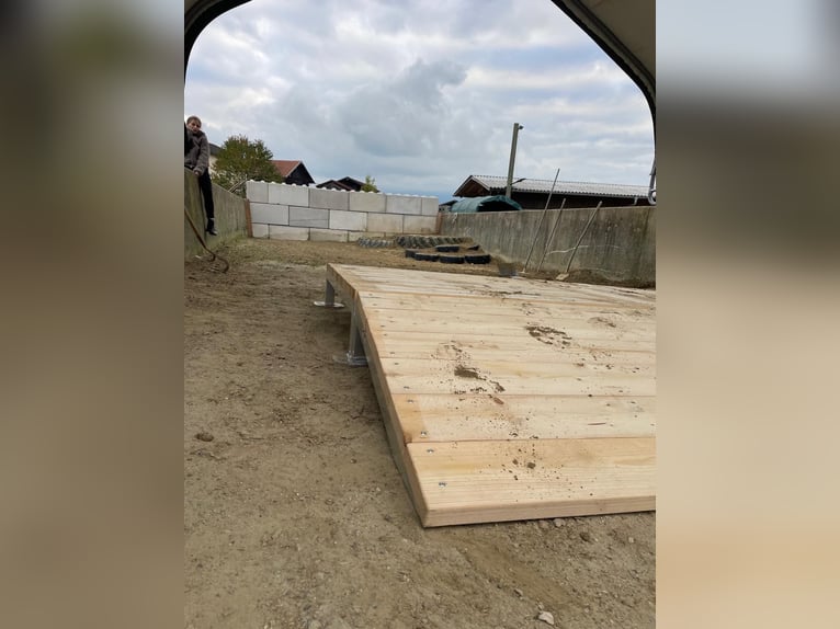 Kleine stallgemeinschaft