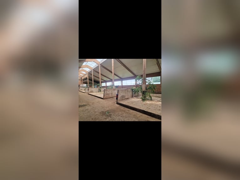 Kleine stallgemeinschaft