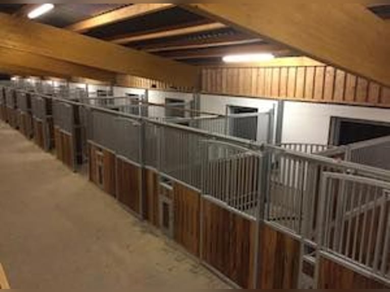 Paddockbox auf gepflegter Reitanlage