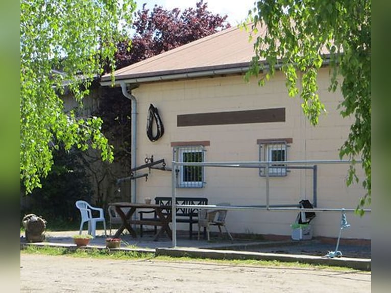 Paddockbox in Vollpension 