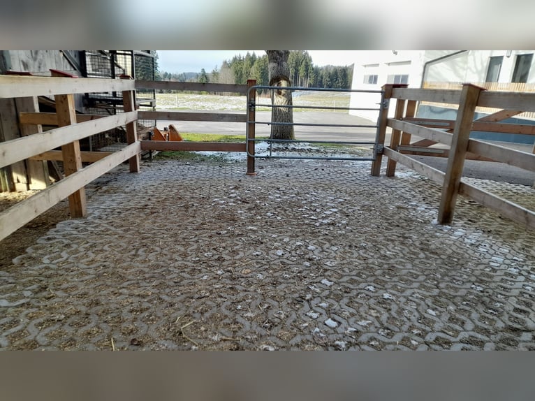 Paddockbox in wunderschöner Lage