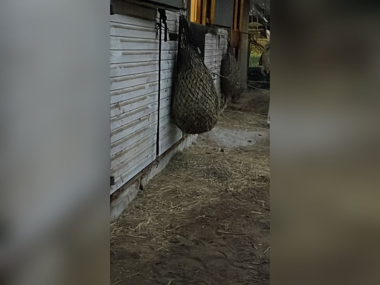 Paddockbox 