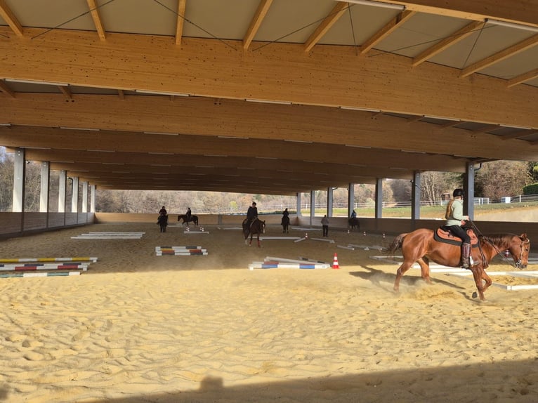 Paddockbox, Trainingsanlage in Hart bei Graz