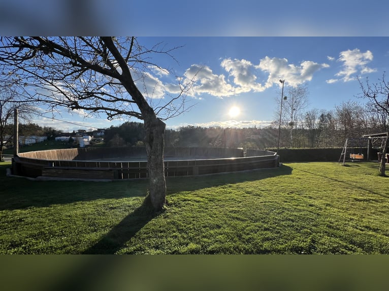 Paddockbox, Trainingsanlage in Hart bei Graz