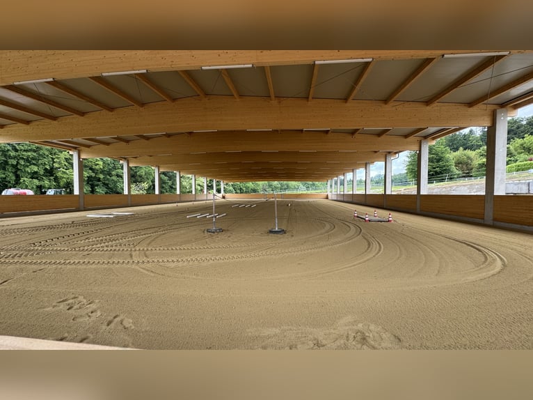 Paddockbox, Trainingsanlage in Hart bei Graz