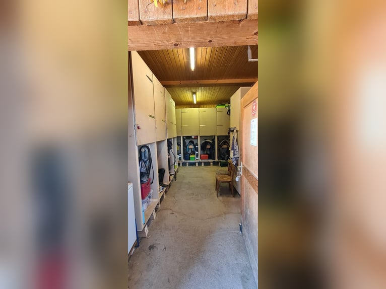 Paddockbox, Trainingsanlage in Hart bei Graz