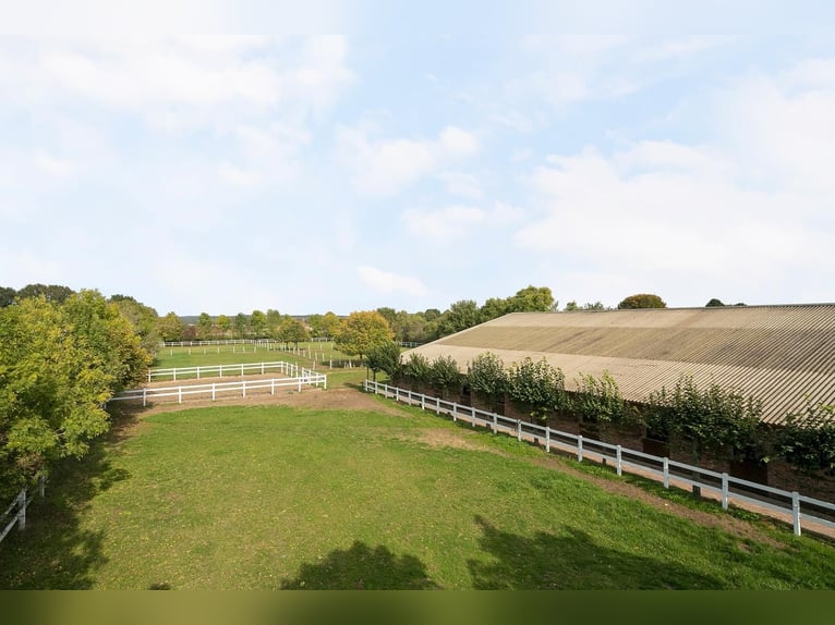 Paddockboxen auf privater Reitanlage frei