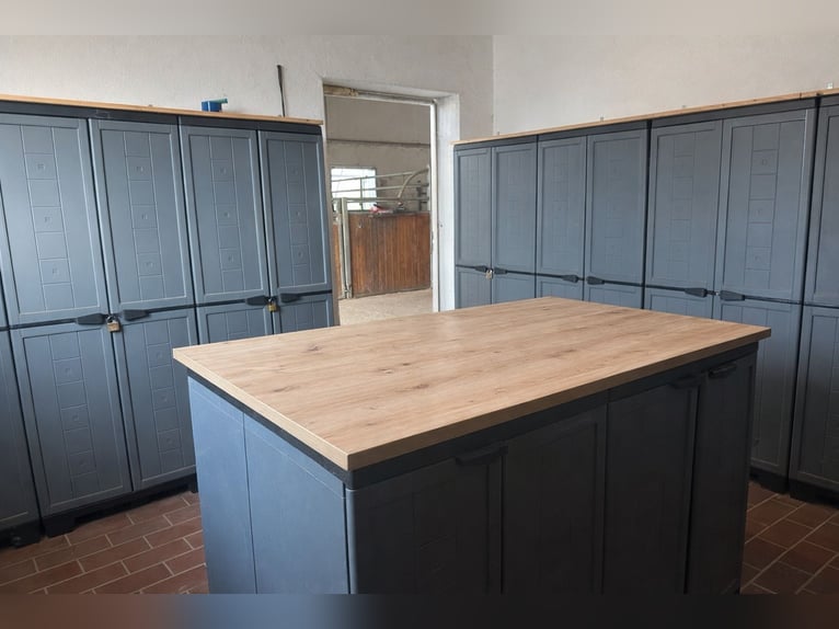 Paddockboxen, Außenboxen, Offenstall, Aufzucht, Ausbildung, Beritt