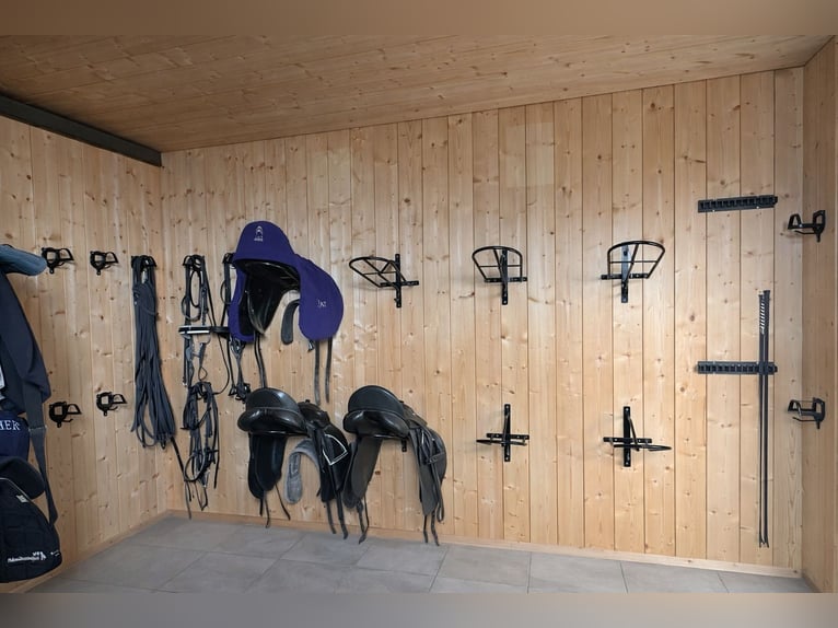 Paddockboxen, Außenboxen, Offenstall, Aufzucht, Ausbildung, Beritt