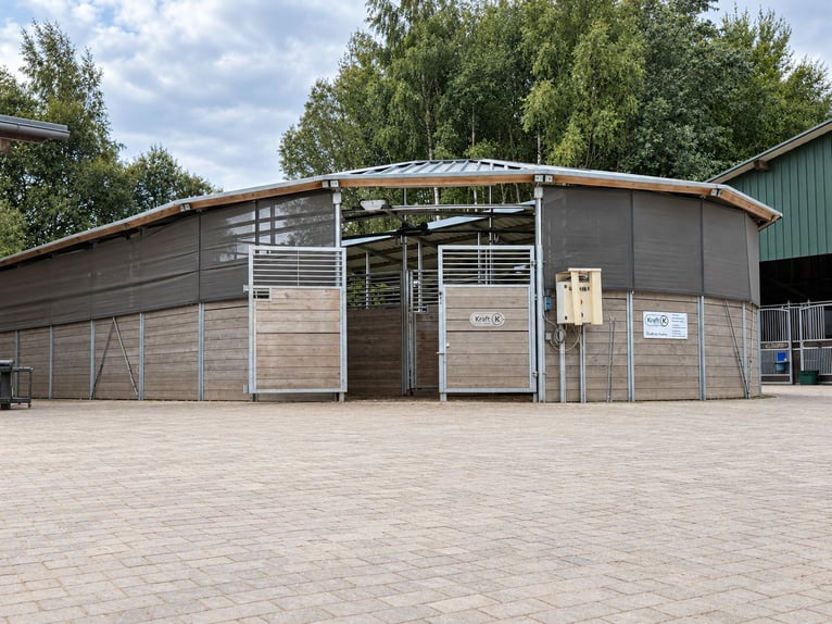 Paddockboxen/Fensterboxen/Innenboxen/Stall frei