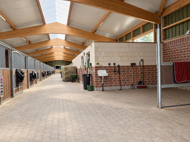 Paddockboxen/Fensterboxen/Innenboxen/Stall frei