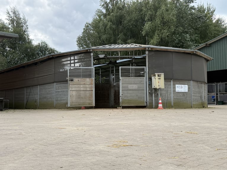 Paddockboxen/Fensterboxen/Innenboxen/Stall frei