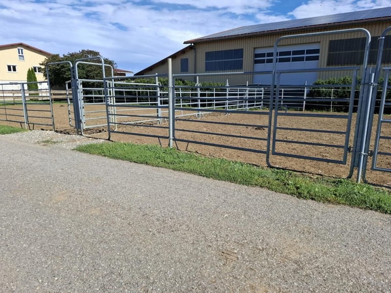 Pferdeparadies Deluxe