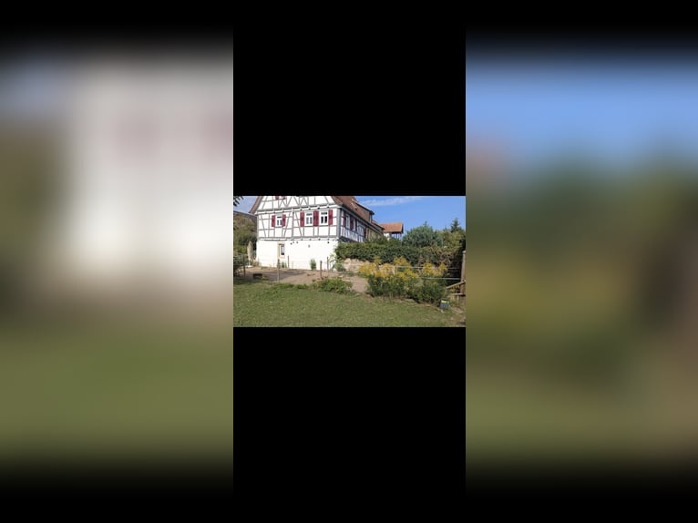 Platz für Shetty frei 