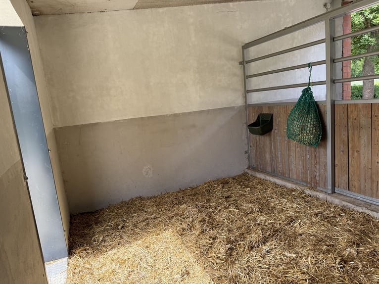 Rentnerplatz, Pony- Pferdebox, Einstellplatz, Stutenstall