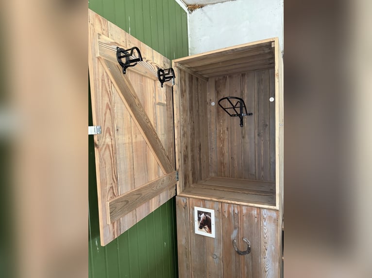 Schöner Platz für Pony in Vollpension frei