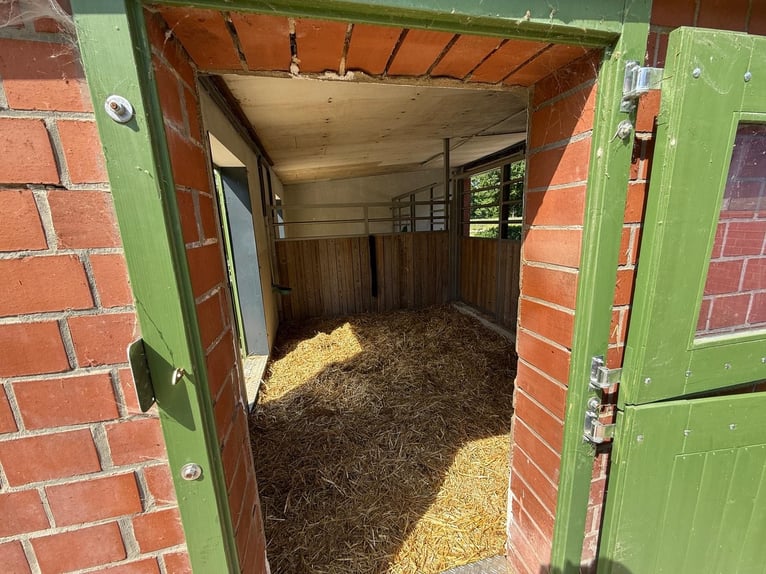 Schöner Platz für Pony in Vollpension frei