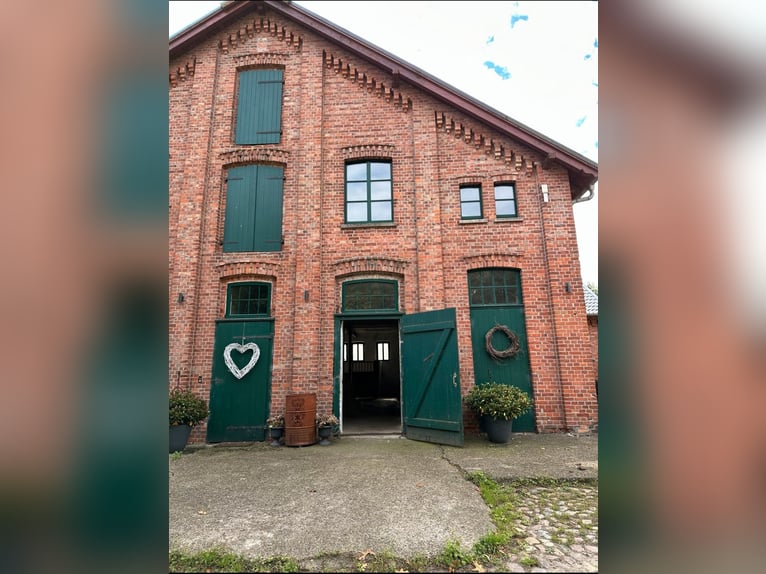 Beistellplatz für Rentner/Seniorenpferd: Box und Weide