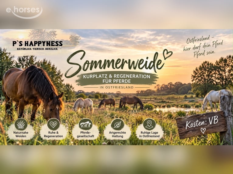 Sommerweide/ Kurplatz/ Nordseenähe