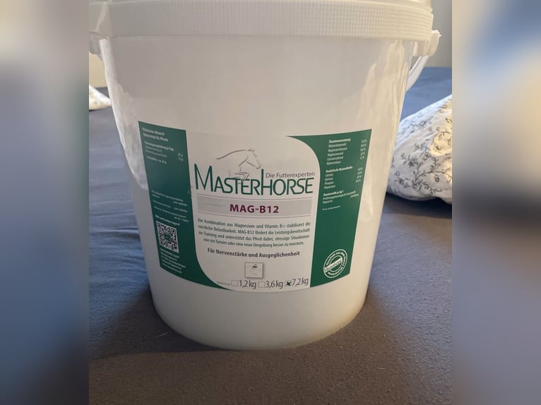 Masterhorse Magnesium B12