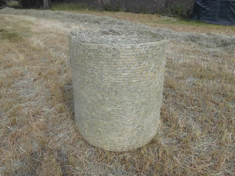 Bioheu Pferdeheu Rundballen Heu Wiesenheu Transport möglich