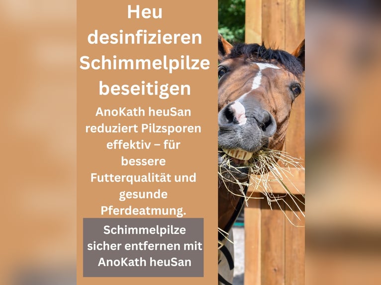 Heu Desinfizieren AnoKath® heuSan Konzenrat
