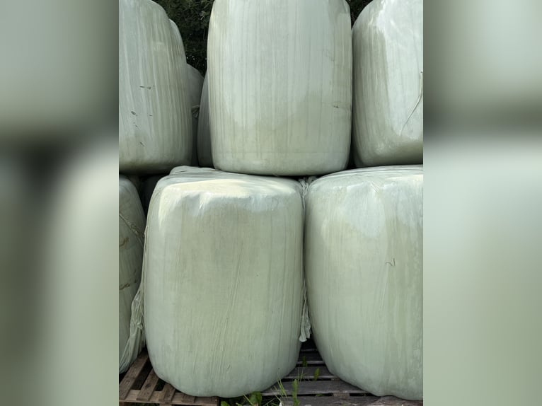 Heulage-Rundballen Ø 105 cm – Ernte 2025 Heulage-Rundballen Ø 105 cm – Ernte 2025