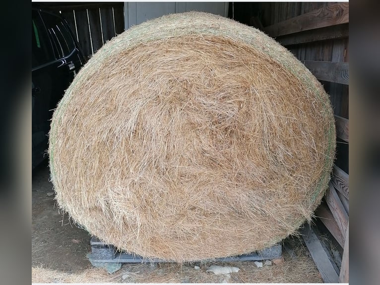 Sehr schönes Almheu in Rundballen, WF Fläche