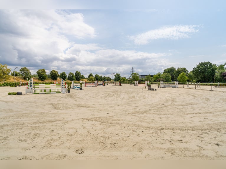A complete equestrian accommodation with 2 company houses located in the outskirts of Venlo!