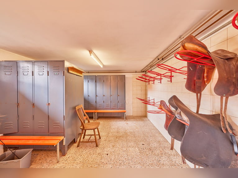 Komfortables Wohnen mit den eigenen Pferden – schicke Immobilie zur Privatpferdehaltung in Bayern!