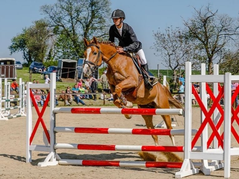 Springparcours