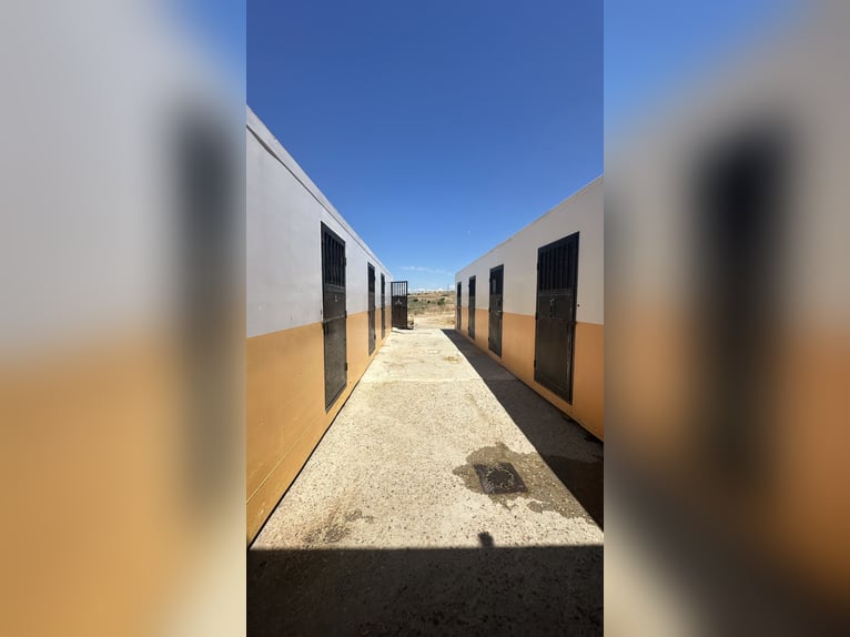 Cuadras portátiles con 8 cuadras y guadarnés